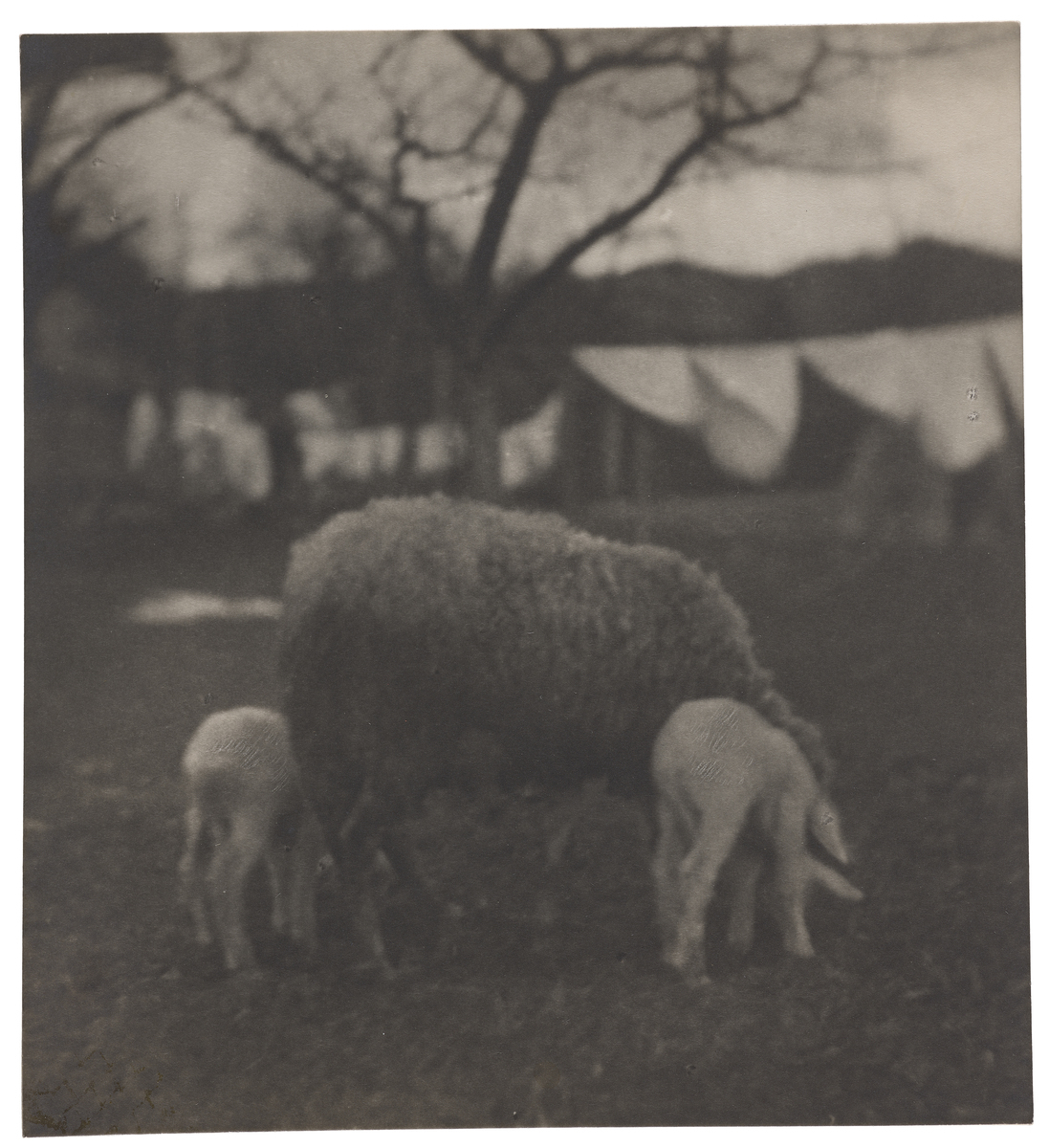 Fotograf: Neander, Hanna, Copyright: 1