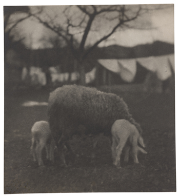 Fotograf: Neander, Hanna, Copyright: 1