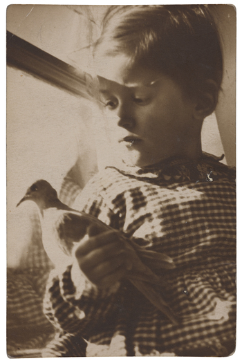 Fotograf: Neander, Hanna, Copyright: 1