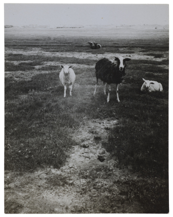 Fotograf: Neander, Hanna, Copyright: 1