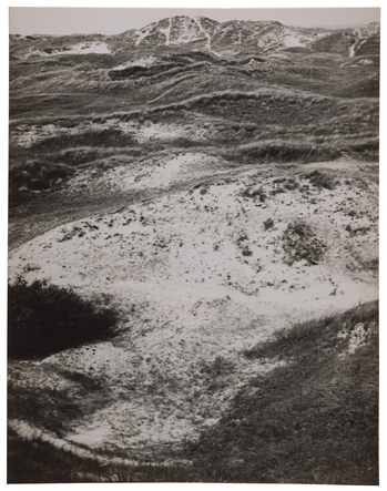 Fotograf: Neander, Hanna, Copyright: 1