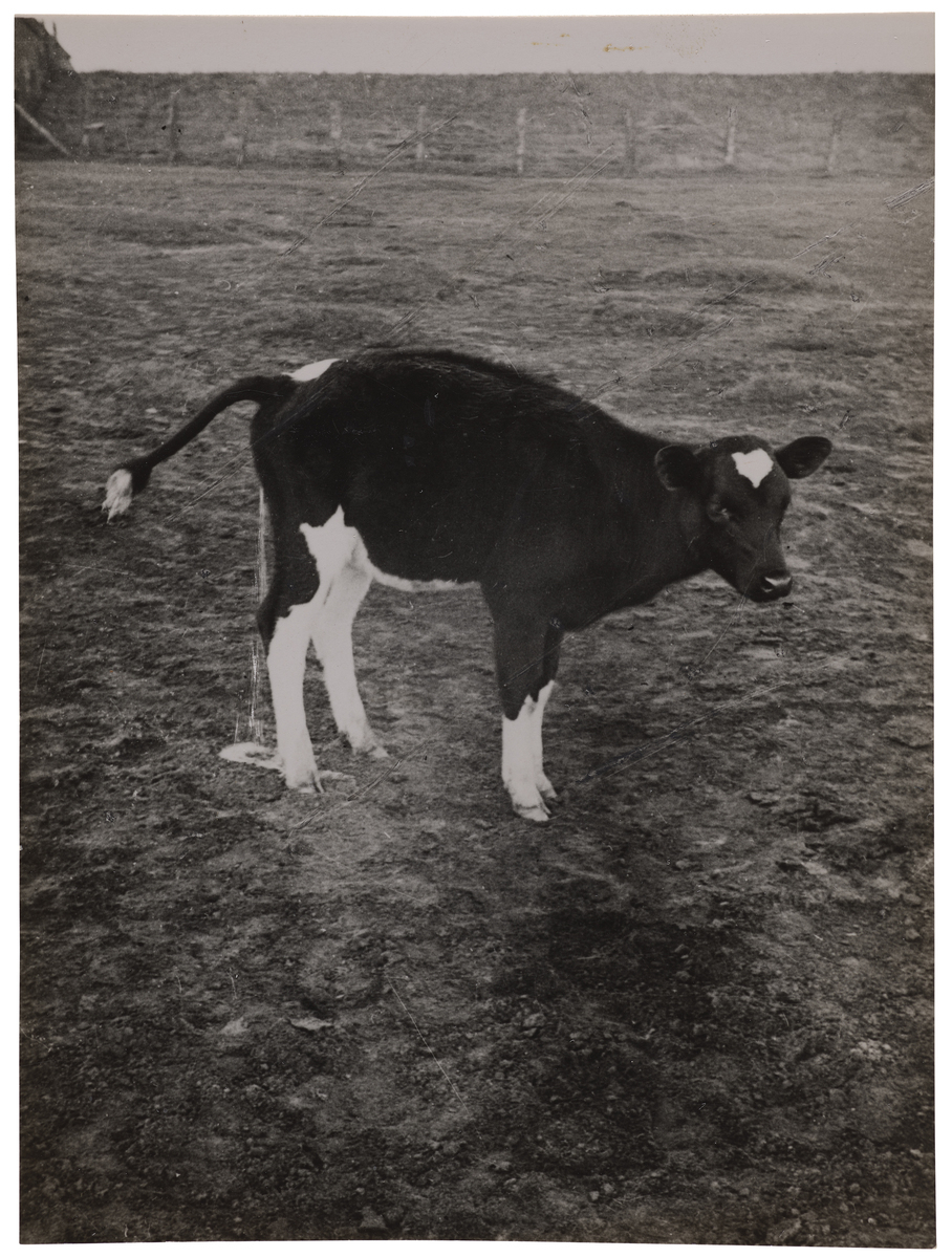 Fotograf: Neander, Hanna, Copyright: 1