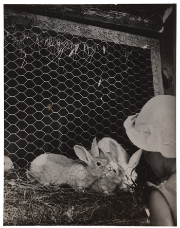 Fotograf: Neander, Hanna, Copyright: 1