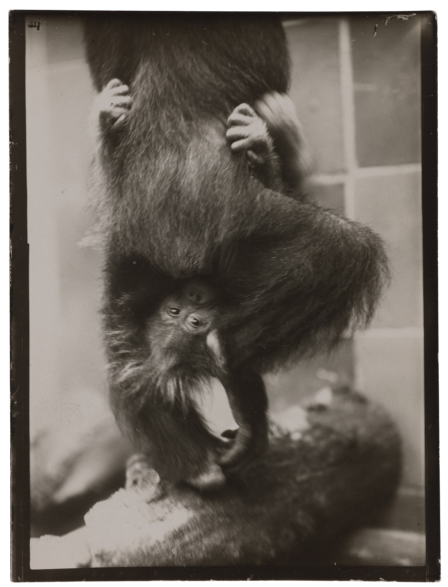 Fotograf: Neander, Hanna, Copyright: 1