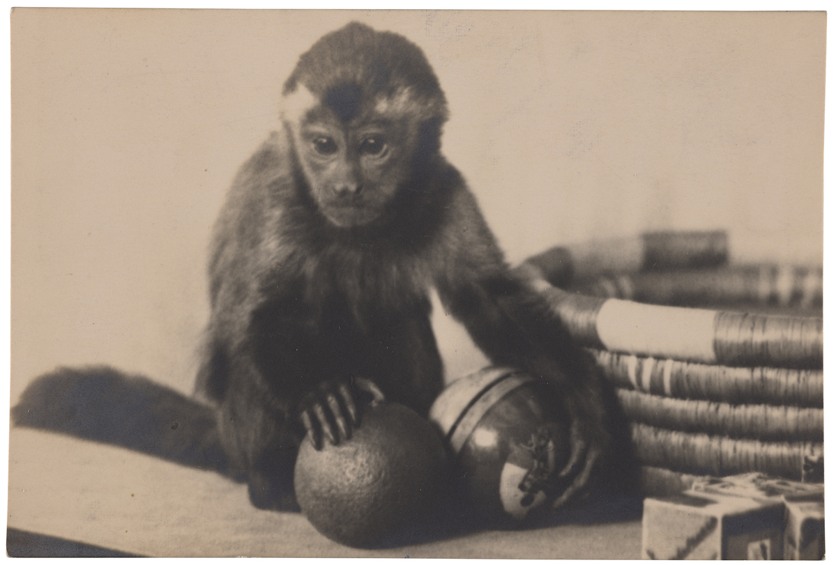 Fotograf: Neander, Hanna, Copyright: 1