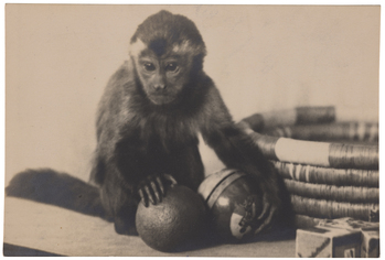 Fotograf: Neander, Hanna, Copyright: 1