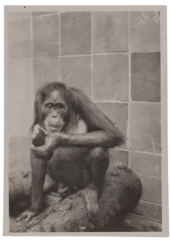 Fotograf: Neander, Hanna, Copyright: 1