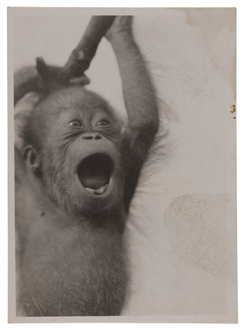 Fotograf: Neander, Hanna, Copyright: 1