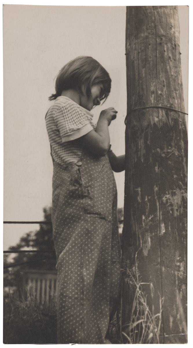 Fotograf: Neander, Hanna, Copyright: 1