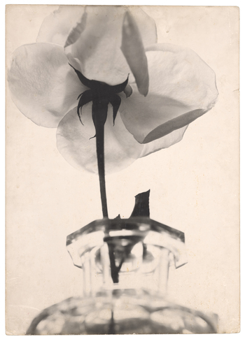 Fotograf: Neander, Hanna, Copyright: 1