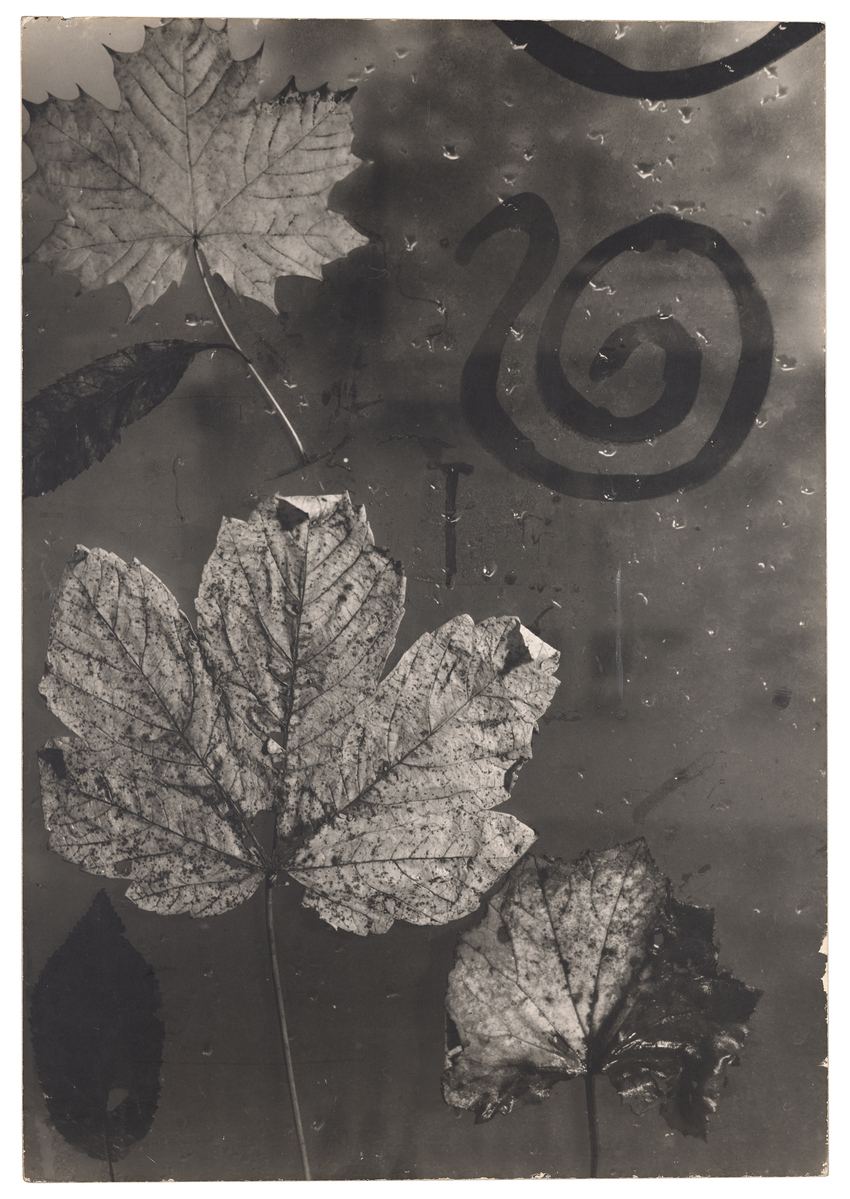 Fotograf: Neander, Hanna, Copyright: 1