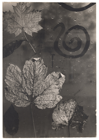 Fotograf: Neander, Hanna, Copyright: 1