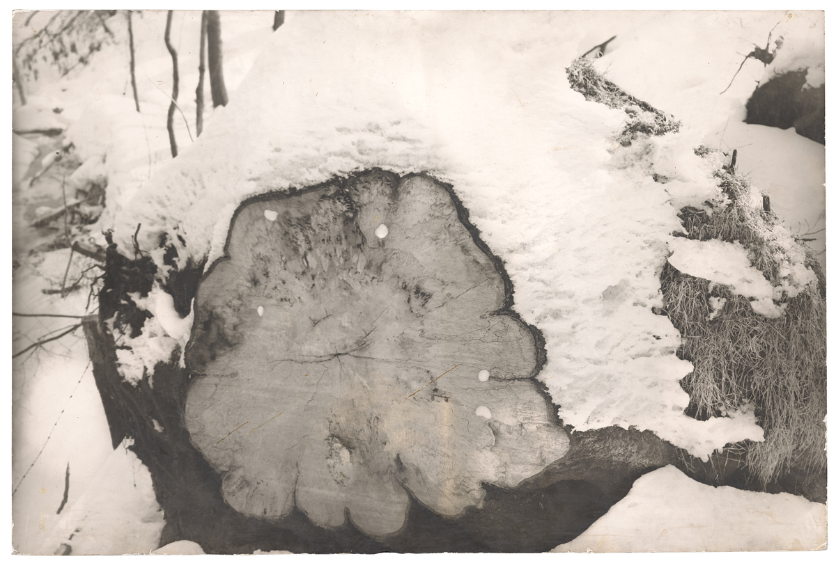 Fotograf: Neander, Hanna, Copyright: 1