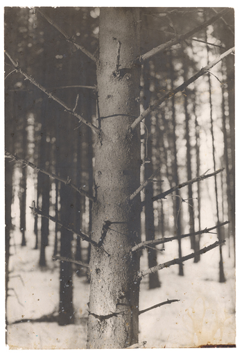 Fotograf: Neander, Hanna, Copyright: 1