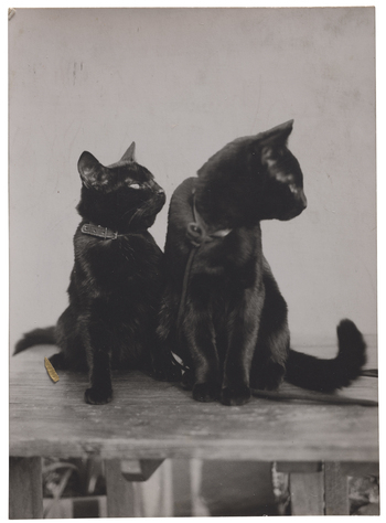 Fotograf: Neander, Hanna, Copyright: 1