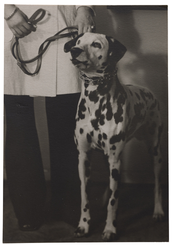 Fotograf: Neander, Hanna, Copyright: 1