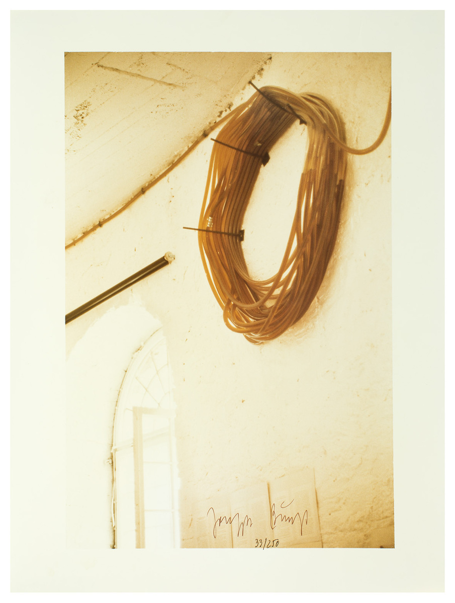 Fotograf: Ahlbrand-Dornseif, Sabine, Copyright: 1