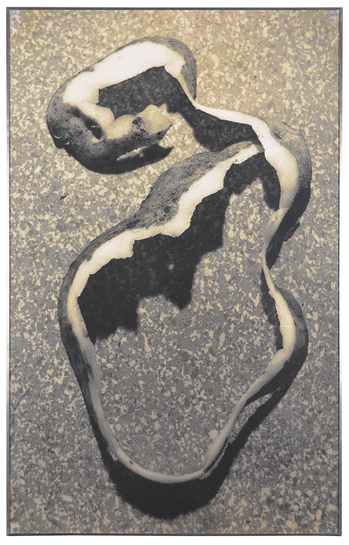 Fotograf: Neander, Hanna, Copyright: 1