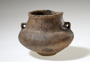 Fotograf: Hoffmann, Ansgar, Copyright: 1