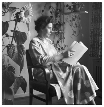 Fotograf: Hickstein, Carmen, Copyright: 1