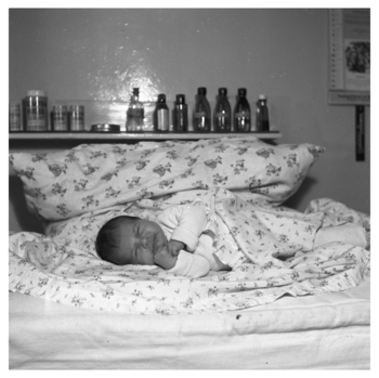 Fotograf: Hickstein, Carmen, Copyright: 1