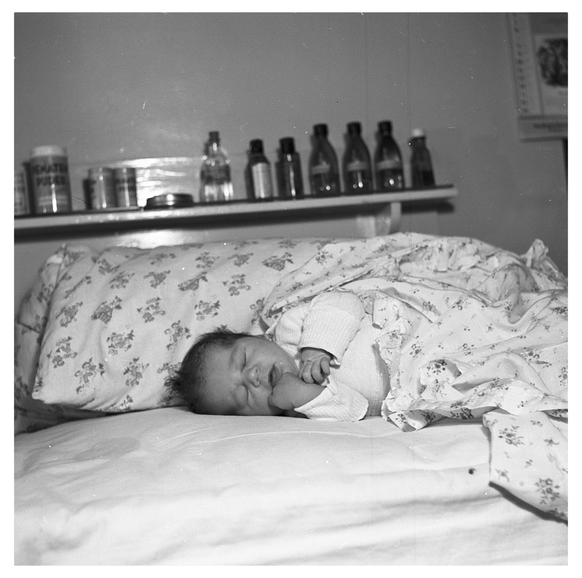 Fotograf: Hickstein, Carmen, Copyright: 1