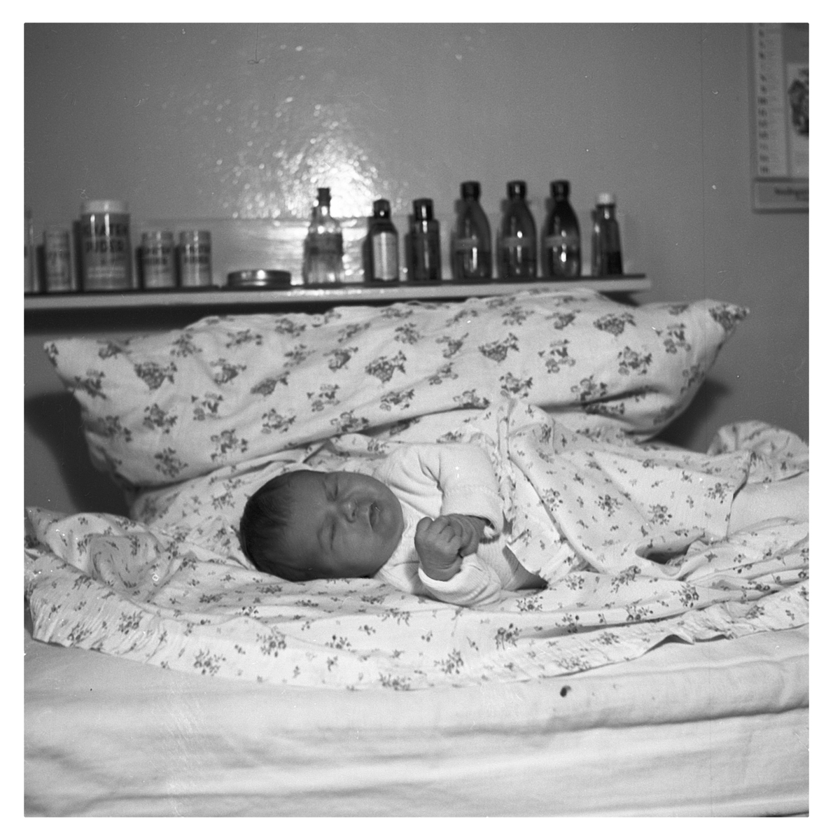 Fotograf: Hickstein, Carmen, Copyright: 1