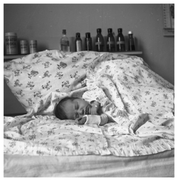 Fotograf: Hickstein, Carmen, Copyright: 1