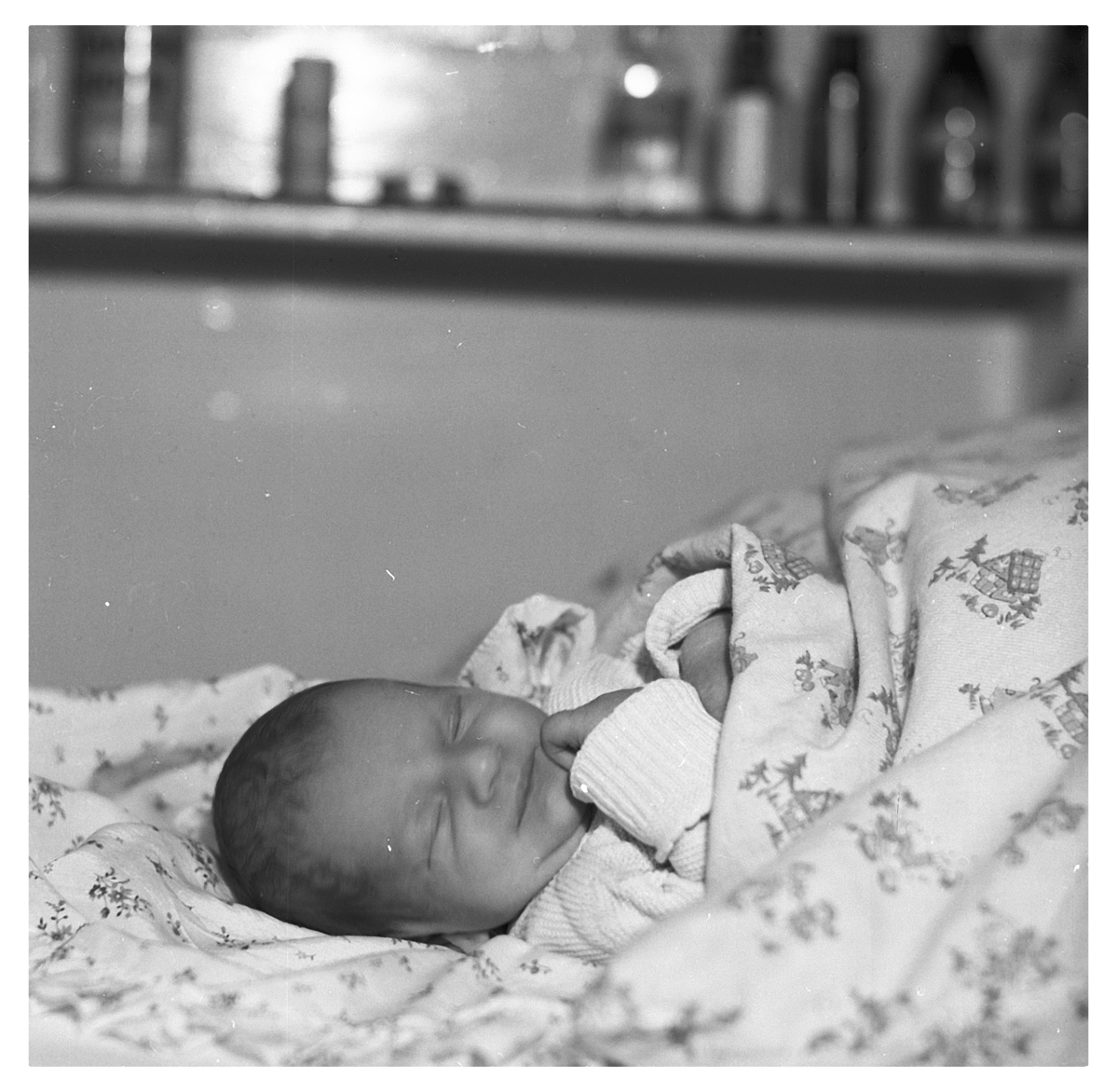 Fotograf: Hickstein, Carmen, Copyright: 1