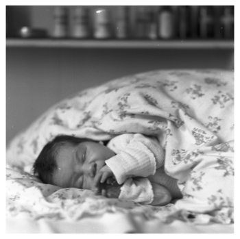 Fotograf: Hickstein, Carmen, Copyright: 1