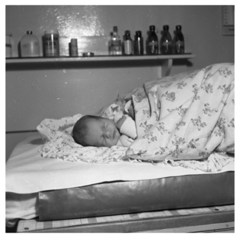 Fotograf: Hickstein, Carmen, Copyright: 1