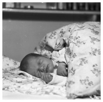 Fotograf: Hickstein, Carmen, Copyright: 1