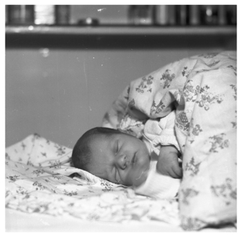 Fotograf: Hickstein, Carmen, Copyright: 1