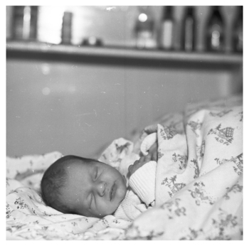 Fotograf: Hickstein, Carmen, Copyright: 1