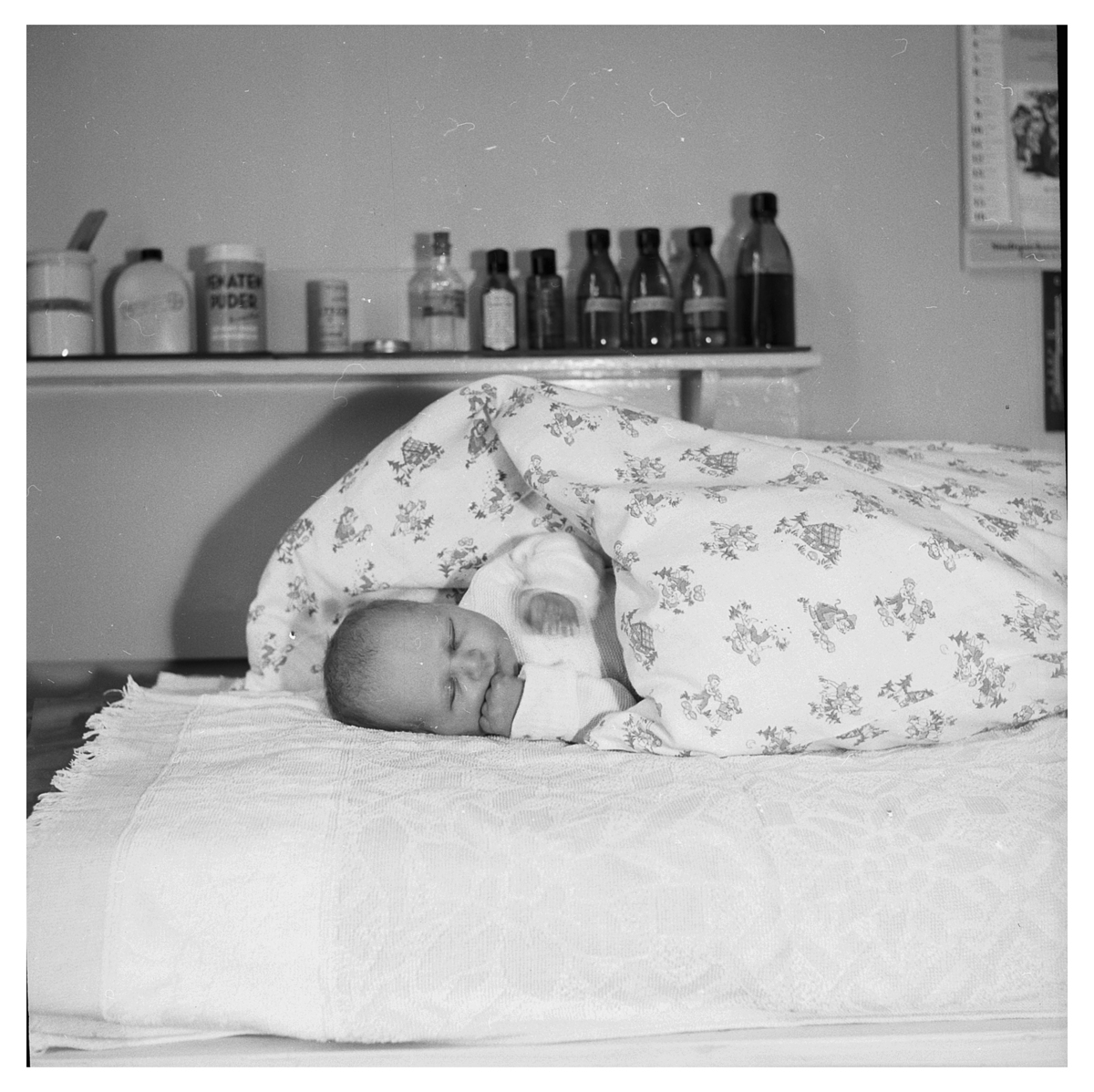 Fotograf: Hickstein, Carmen, Copyright: 1