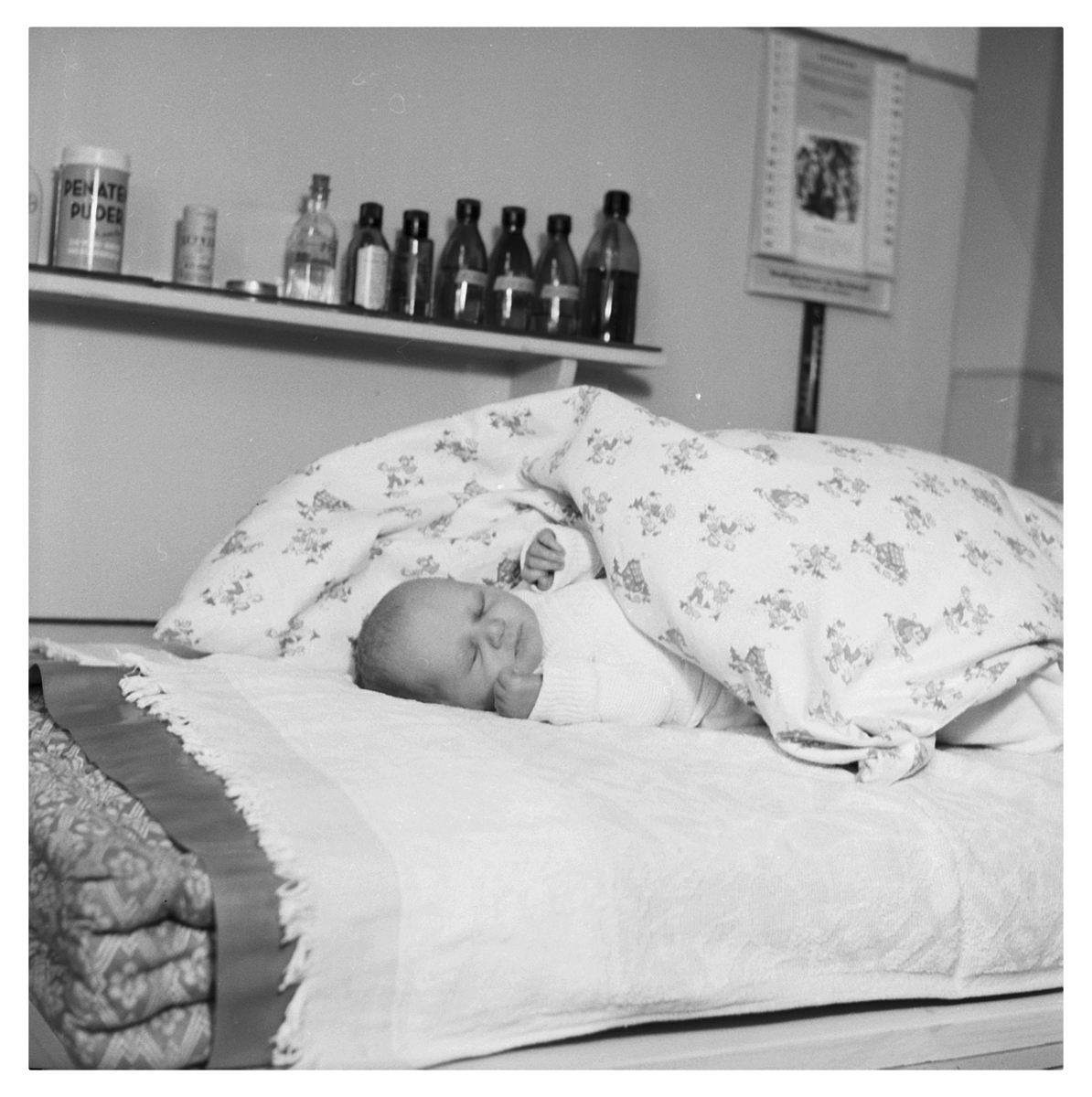 Fotograf: Hickstein, Carmen, Copyright: 1