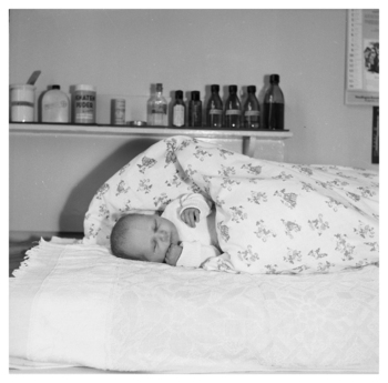 Fotograf: Hickstein, Carmen, Copyright: 1