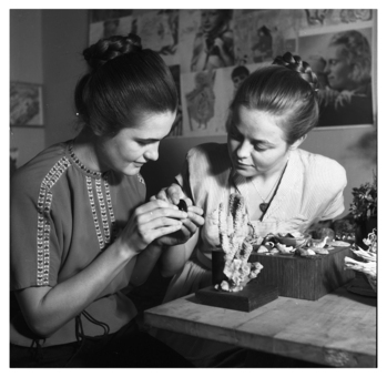 Fotograf: Hickstein, Carmen, Copyright: 1