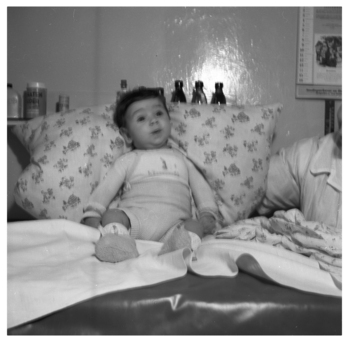 Fotograf: Hickstein, Carmen, Copyright: 1