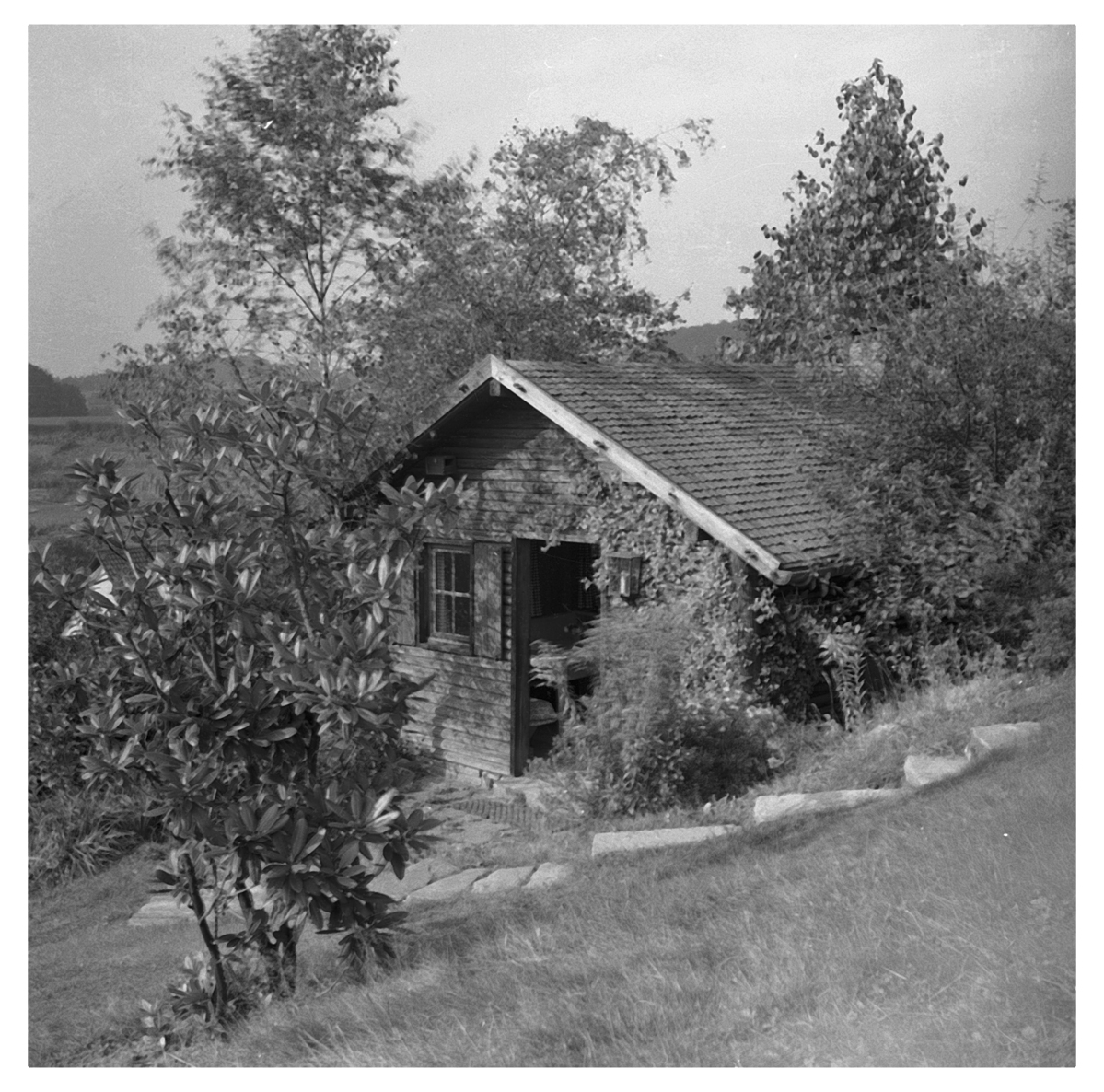 Fotograf: Hickstein, Carmen, Copyright: 1