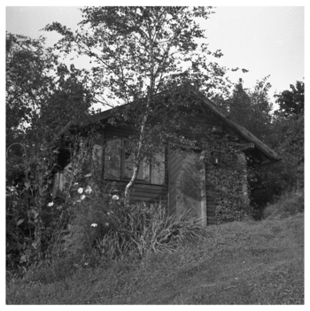 Fotograf: Hickstein, Carmen, Copyright: 1