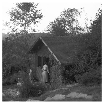 Fotograf: Hickstein, Carmen, Copyright: 1