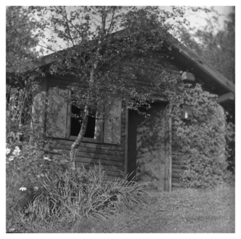 Fotograf: Hickstein, Carmen, Copyright: 1