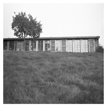 Photographer: Hickstein, Carmen, Copyright: 1
