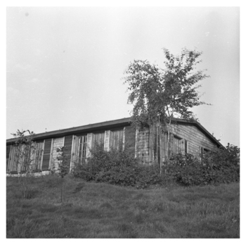 Fotograf: Hickstein, Carmen, Copyright: 1