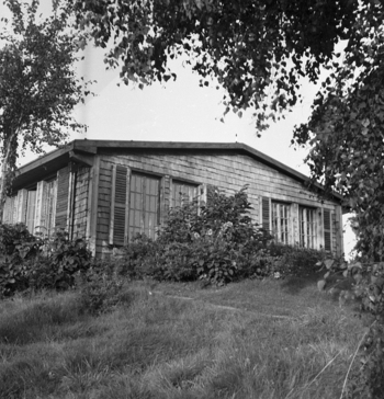 Fotograf: Hickstein, Carmen, Copyright: 1