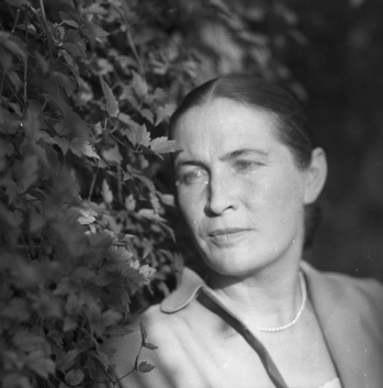 Fotograf: Hickstein, Carmen, Copyright: 1