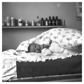 Fotograf: Hickstein, Carmen, Copyright: 1