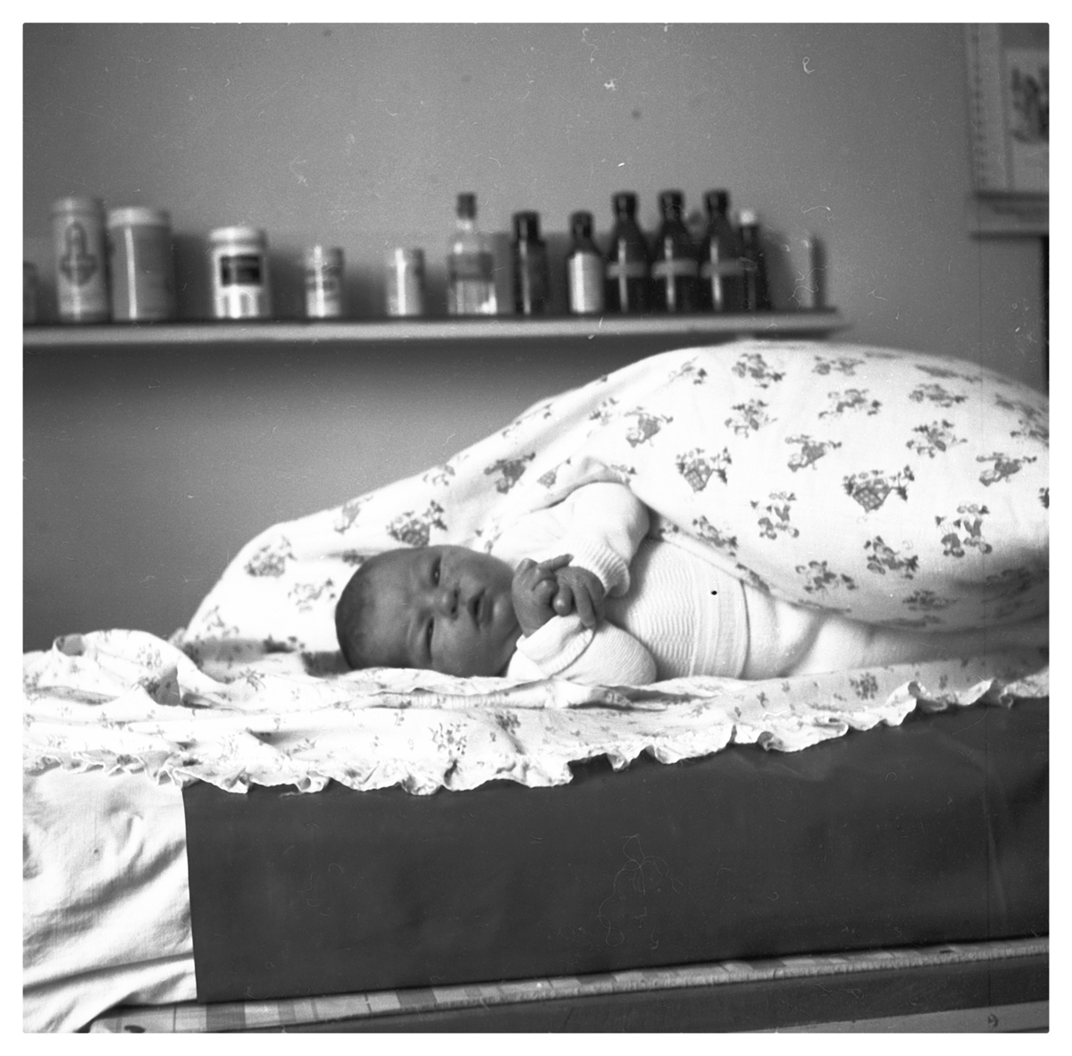 Fotograf: Hickstein, Carmen, Copyright: 1