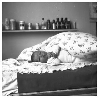 Fotograf: Hickstein, Carmen, Copyright: 1